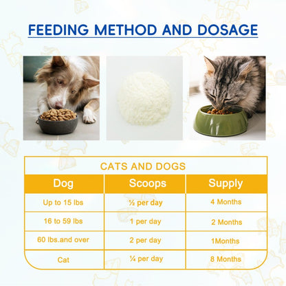 US Local Bark And Meow Probiotics For Dogs & Cats 7 Tailored Strains Prebiotics, Pumpkin & Carrot 5 Billion CFU Scoop Human-Grade, Non-GMO, Vet-Approved, Made In USA, Gut & Immune Support