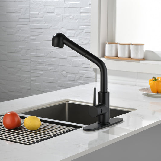 US Local Stainless Steel Matte Black Single Handle Pull Out Spray, Kitchen Faucet