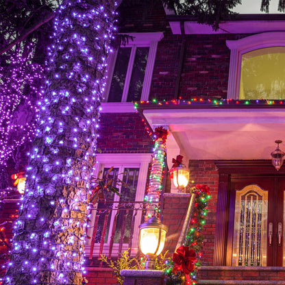 US Local 200 pcs 66ft Halloween Fairy String Lights 8 Lighting Modes Mini Plug-in String Lights Indoor And Outdoor Christmas Garden Wedding Party Decoration Purple