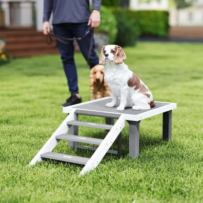 US Local Wooden Dog Training Place Board, Dog Training Platform With Ladder, Pet Agility System For Indoor Outdoor