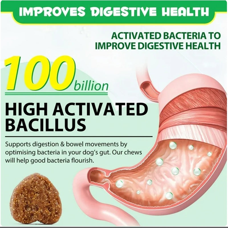 US Local Probiotics Chews For Pets Customized Shape