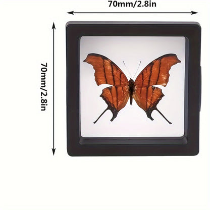 US Local 30 PE Films, Jewelry Boxes, Accessory Boxes