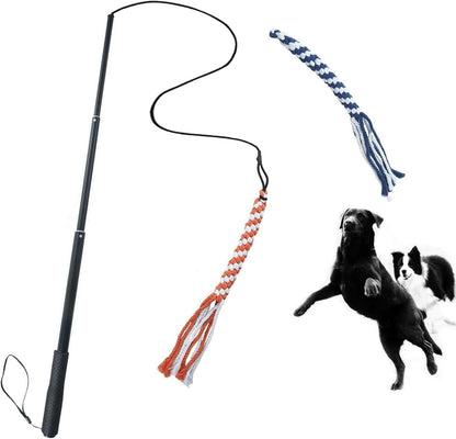US Local Dog Extendable Teaser Wand Pet Flirt Stick Pole Puppy Chasing Tail Interactive Toy For Small Medium Large Dogs Training Playing Exercise