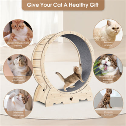 US Local Cat Exercise Wheel For Indoor Cats, Running Wheel With Carpeted Runway