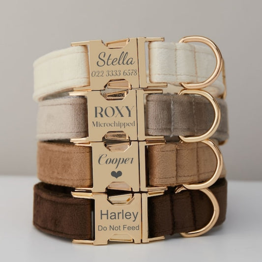 US Local Multiple Colour Velvet Personalise Dog Collar Leash Set With Bow