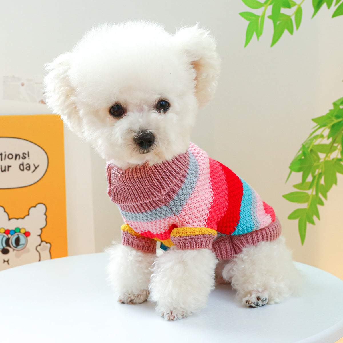 US Local Pet Ring Comfortable Color Stripes Colorful Sweater