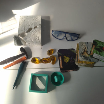 US Local Amber Worm Digging Kit - The Perfect Gift For Little Explorers