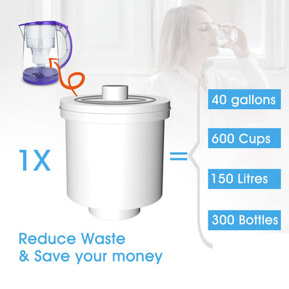 US Local Simpure 3.5L Water Filter Pitcher Jug Hard Water Better Drinking Filtration DP05