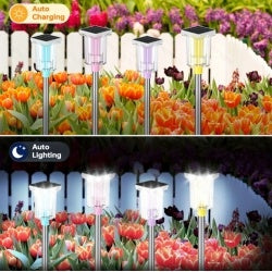 US Local 6 Pack Outdoor Solar Landscape Lights Perfectly Suited For Ambient Lighting In Outdoor Spaces, Courtyards, Corridors, Gardens, And Backyards