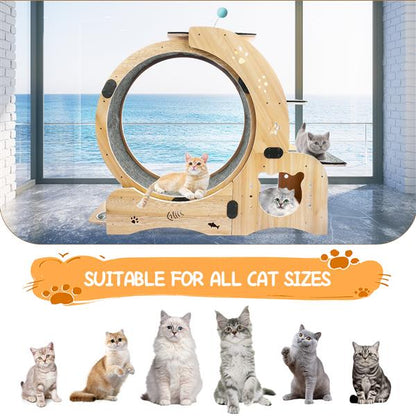 US Local Cat Wheel 6-in-1 Cat Sports Wheel, Upgraded Indoor Cat Wheel Sports Device