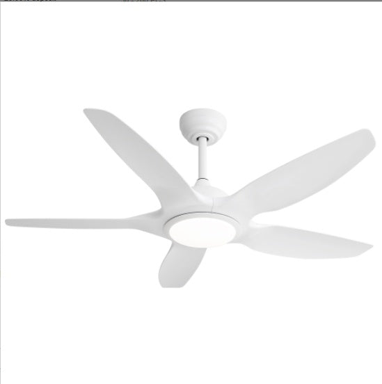 US Local Plastic Ceiling Fans