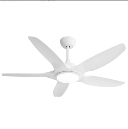 US Local Plastic Ceiling Fans