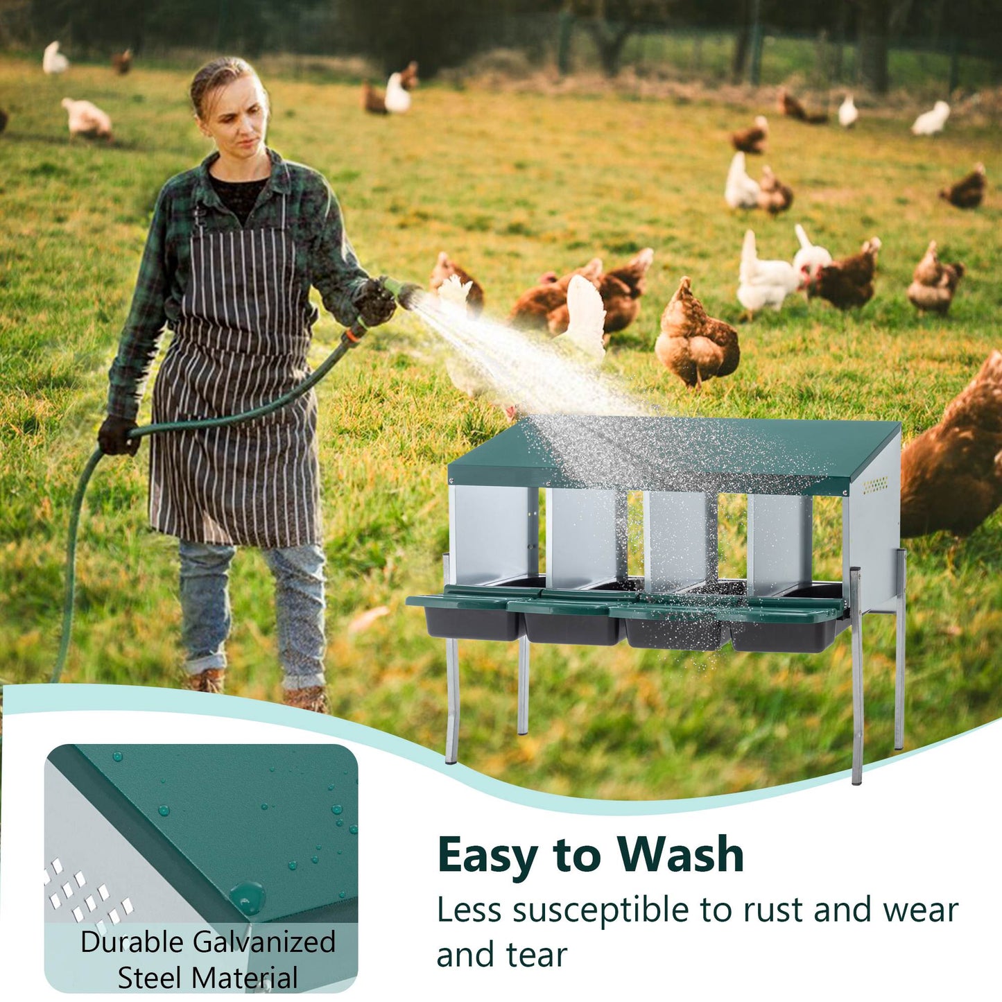 US Local 4-Hole Chicken Nest, With Legs And Cover To Protect Eggs,Green