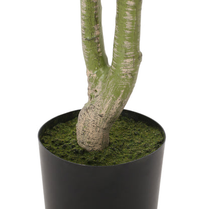 US Local 160CM ARTIFICIAL PACHIRA MACROCARPA