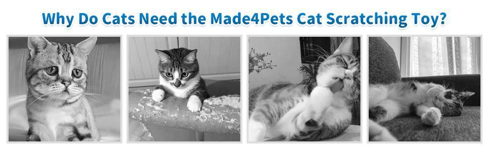 US Local Indoor Cat Soft Scratching Board And Interactive Ball Track Toy Cat Rest And Grooming Supplies