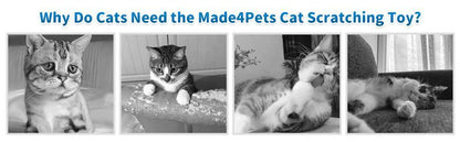 US Local Indoor Cat Soft Scratching Board And Interactive Ball Track Toy Cat Rest And Grooming Supplies