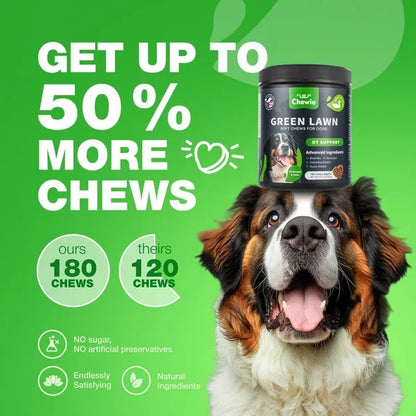 US Local Grass Burn Spot Chews For Dogs Urine Neutralizer