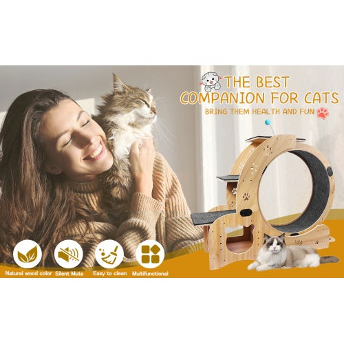 US Local Cat Wheel 6-in-1 Cat Fitness Wheel