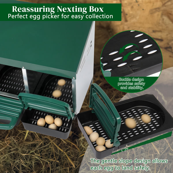 US Local 3-compartment Chicken Feeding Trough