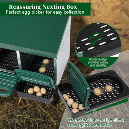 US Local 3-compartment Chicken Feeding Trough
