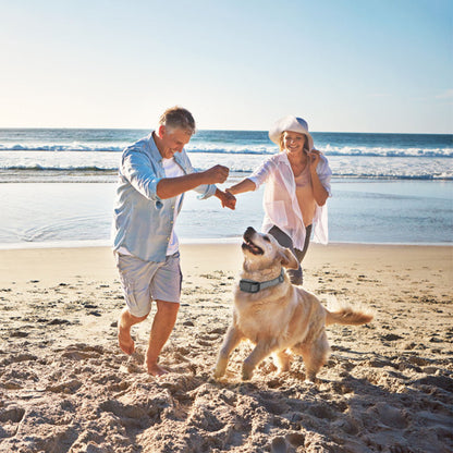 US Local 1Pc Citronella Bark Collar For Dogs Spray Bark Collar Anti Barking Control For Small Medium Large Dogs IP65 Waterproof No Electric Shocks