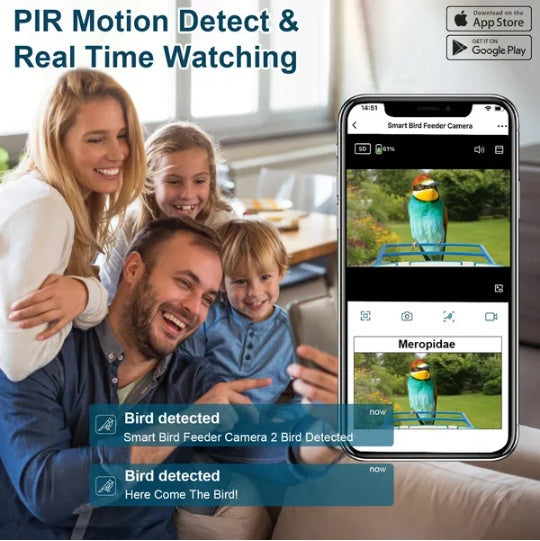 US Local Smart Bird Feeder With Solar Powered Camera 1080P HD AI Identify PIR Motion Auto Capture Video Cloud Card Storage WiFi Connection App Control IP65 Waterproof