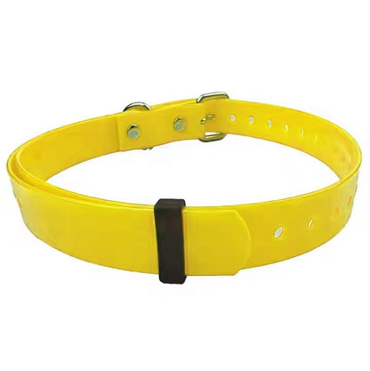 US Local Pet Dog Collars Pet Training Dog Training Equipment