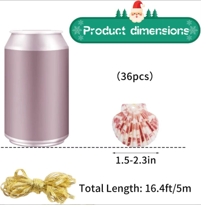 US Local Seashells For Crafting Christmas Ornaments 24pcs 2-3 Inch Hanging Sea Shells Natural White Scallop Shells For Crafts