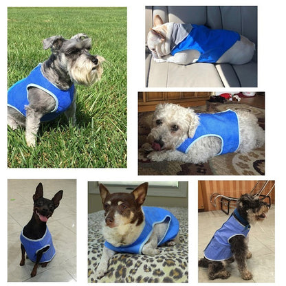 US Local Dog Summer Cooling Vest, Pet Cooling Clothes Dog Cat Cooling Vest, Summer Heat Relief Vest Pet Dog Clothes Summer Clothes For Dogs Dog Cooling Vest
