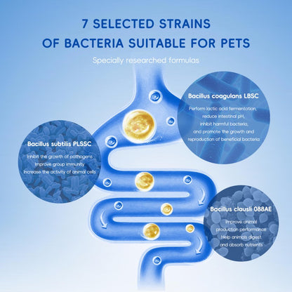 US Local Bark And Meow Probiotics For Dogs & Cats 7 Tailored Strains Prebiotics, Pumpkin & Carrot 5 Billion CFU Scoop Human-Grade, Non-GMO, Vet-Approved, Made In USA, Gut & Immune Support