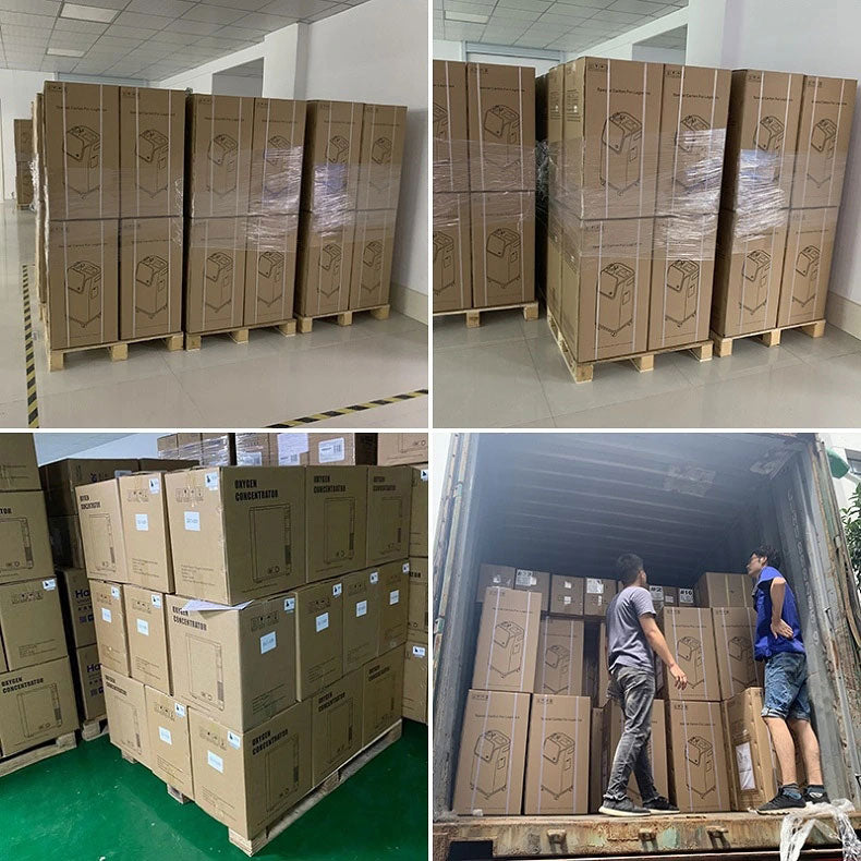 OXY-C01 Medical Oxygenerator 10L FT